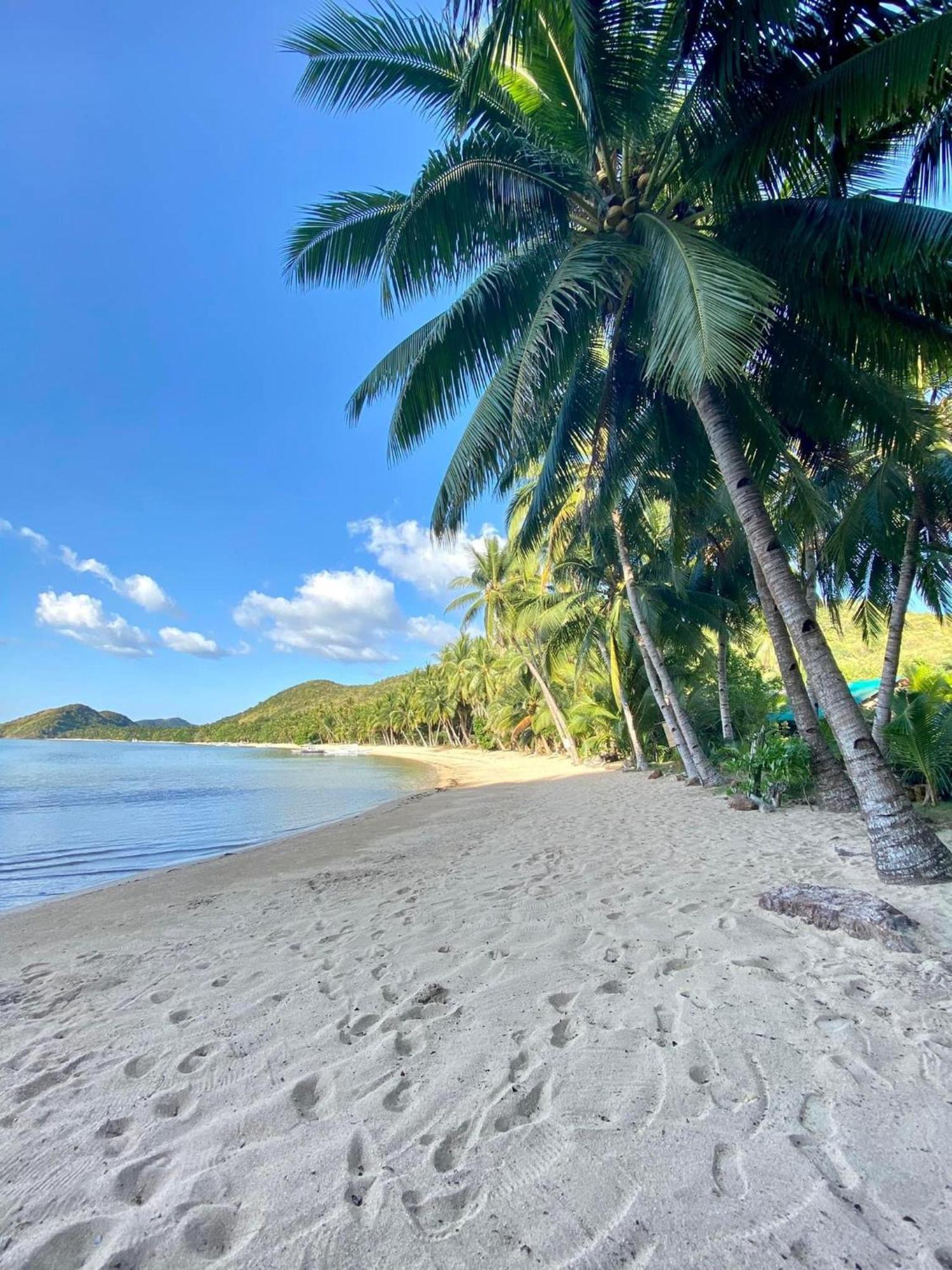 Ocamocam Beach Nature Resort New Busuanga Buitenkant foto