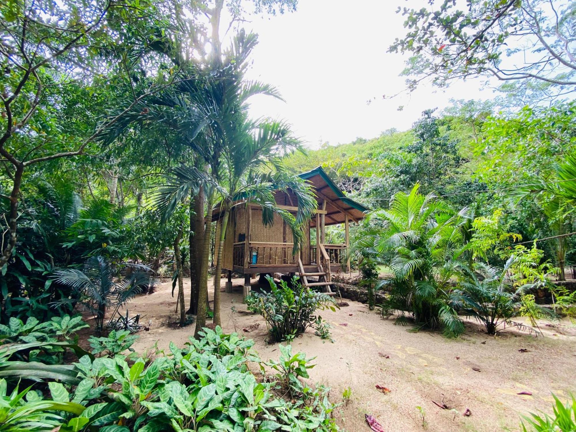 Ocamocam Beach Nature Resort New Busuanga Buitenkant foto